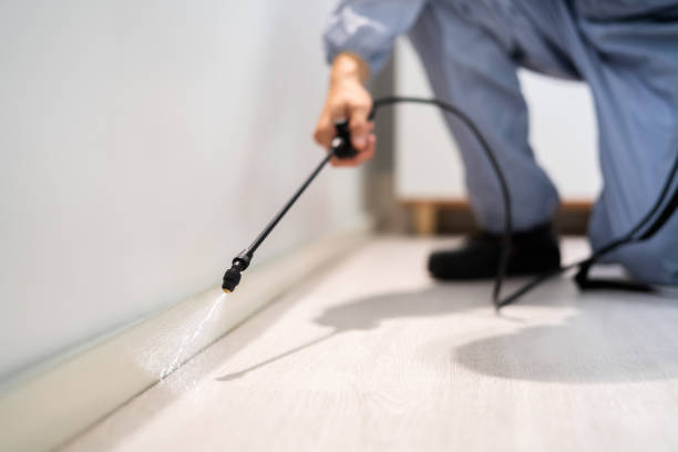 Bed Bug Pre-Treatment Preparation Assessment in Cortez