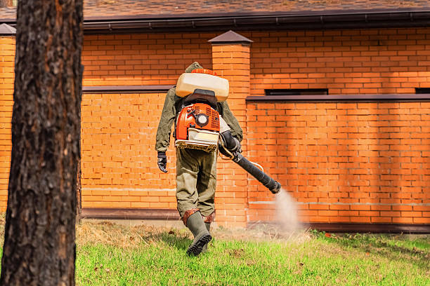 Bed Bug Clearance Verification and Documentation in Cortez